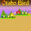 Otaho Bird